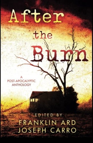 After the Burn