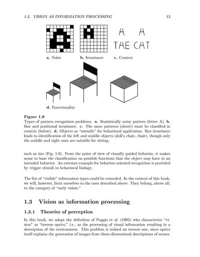 Computational Vision