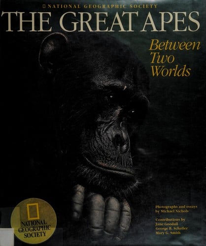 The great apes