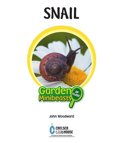 Snail