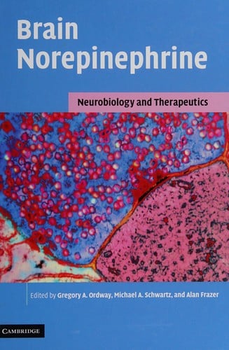 Brain norepinephrine