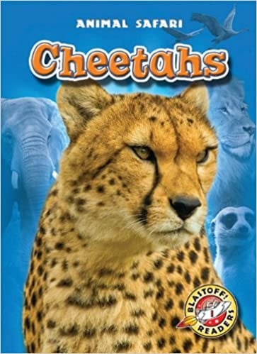 Cheetahs