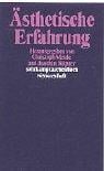 Dimensionen ästhetischer Erfahrung