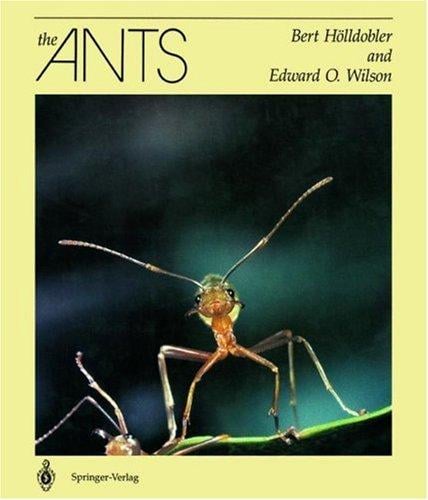 The ants
