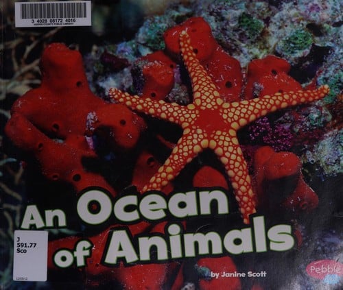 An ocean of animals
