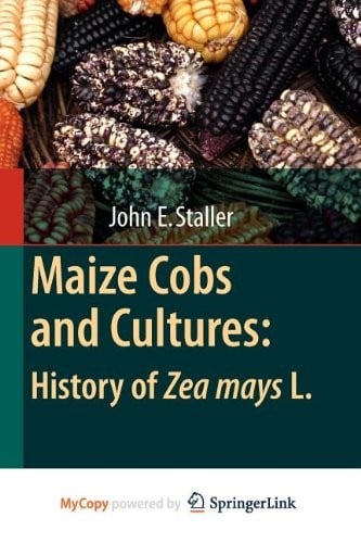 Maize cobs and cultures
