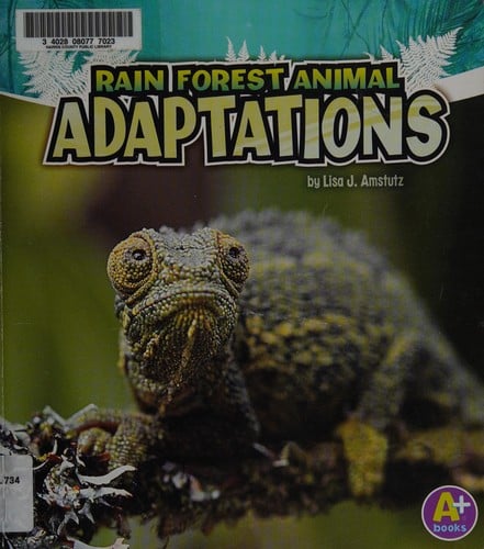 Rain forest animal adaptations