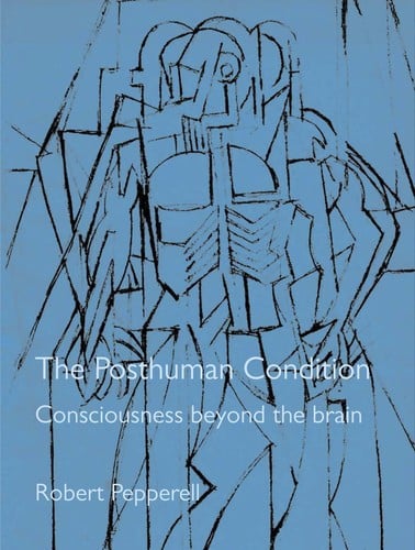 POSTHUMAN CONDITION: CONSCIOUSNESS BEYOND THE BRAIN