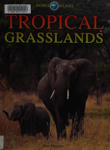 Tropical grasslands