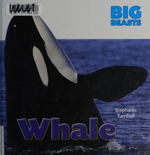 Whale