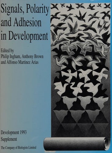 Signals, polarity and adhesion in development