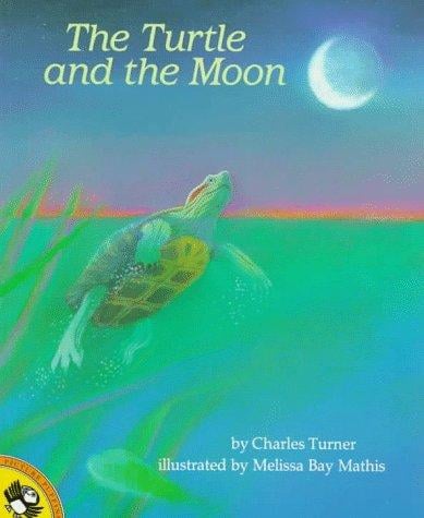 The turtle and the moon