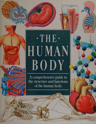 The human body