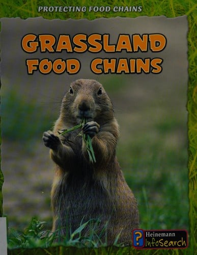 Grassland food chains