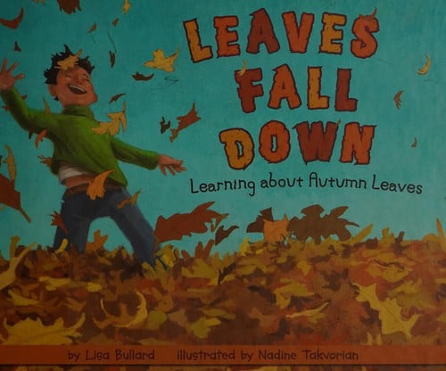 Leaves fall down