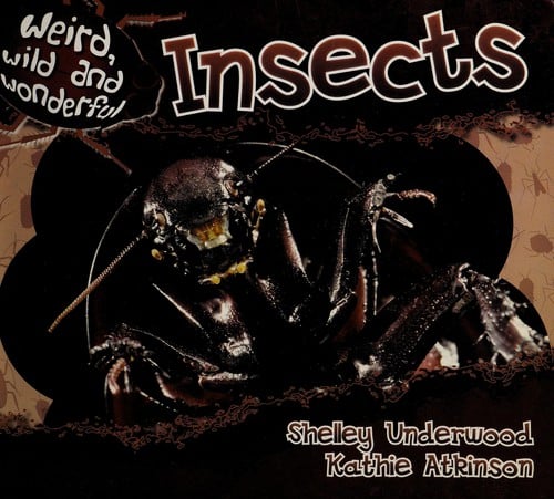 Insects