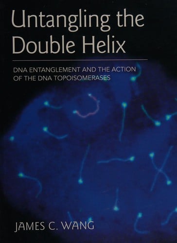 Untangling the double helix