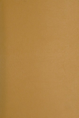 Die Grosse Heidelberger "Manessische" Liederhandschrift