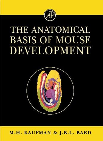The anatomical basis of mouse development