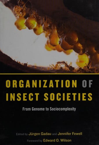 Organization of insect societies