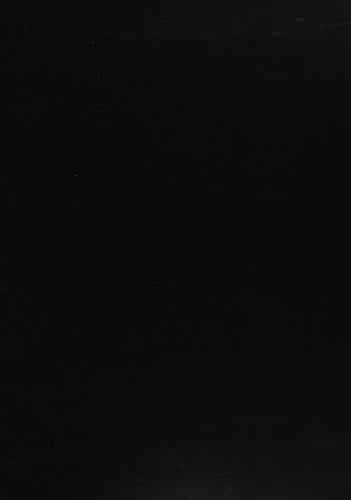 Workforce diversity in Texas state government