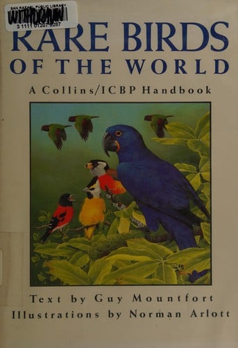 Rare birds of the world