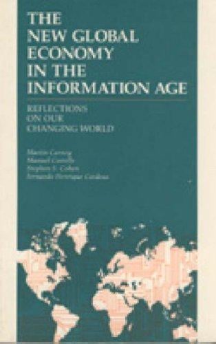 The New global economy in the information age