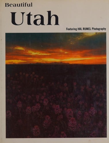 Beautiful San Francisco