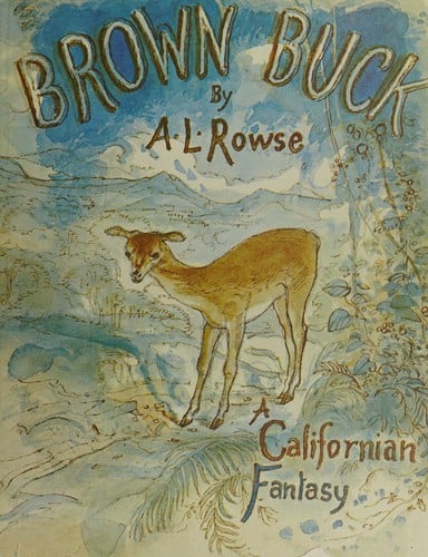 Brown Buck