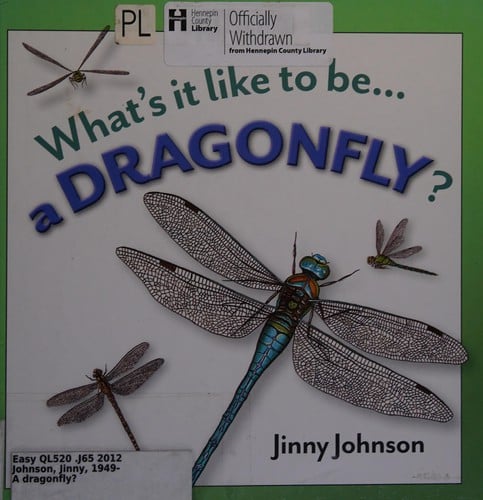 What's It Like to be a Dragonfly?