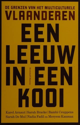 Een leeuw in een kooi
