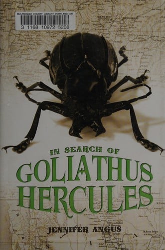 In search of Goliathus hercules