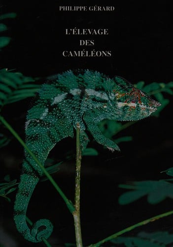 L'élevage des cameleons