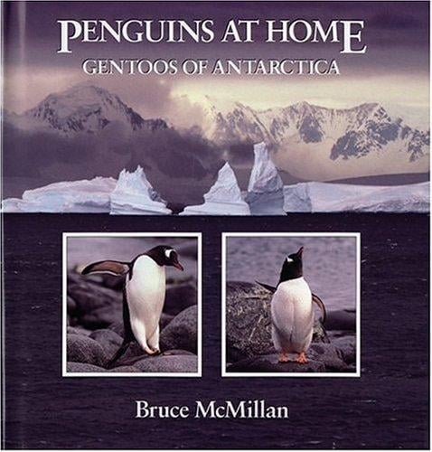 Penguins at home