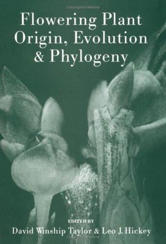 Flowering plant origin, evolution & phylogeny