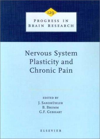 Nervous system plasticity and chronic pain