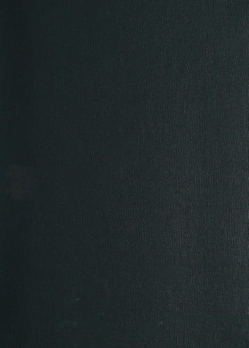 The Julian Messner picture dictionary of phonics from /ā/ to /zh