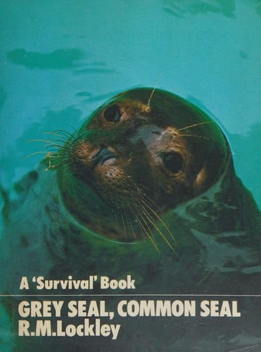 Grey seal, common seal