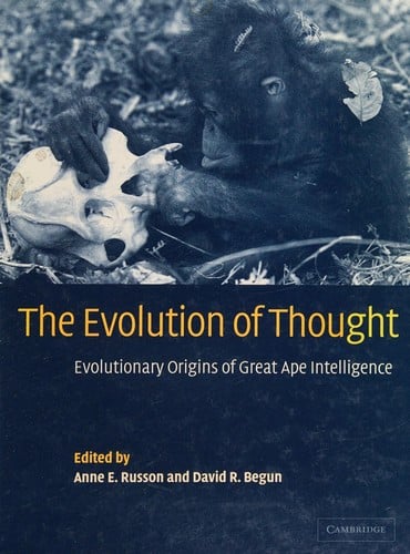 The evolution of thought