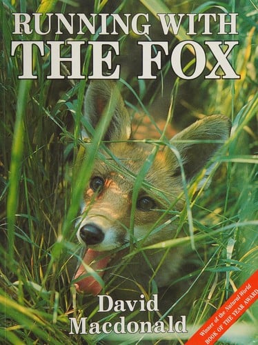 Running with the fox