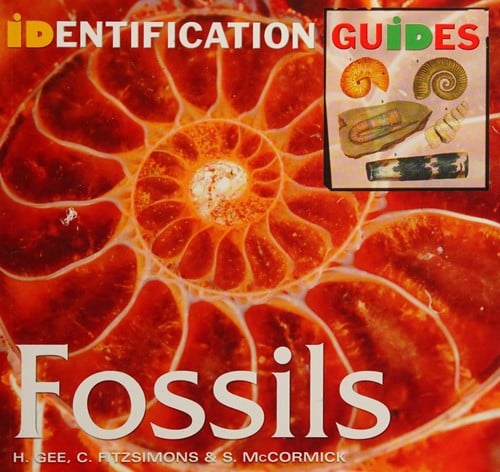 British & European fossils