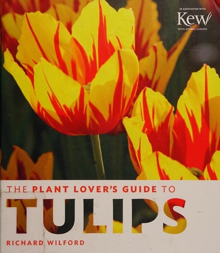 The plant lover's guide to tulips
