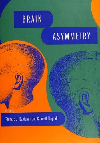 Brain asymmetry
