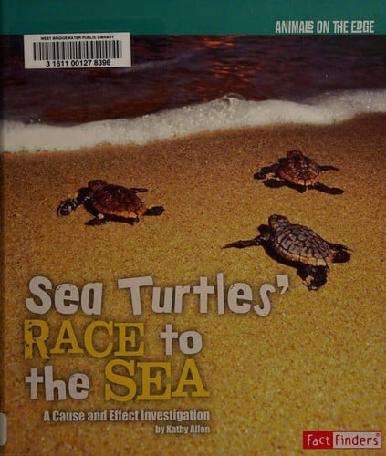 Sea turtles' race to the sea