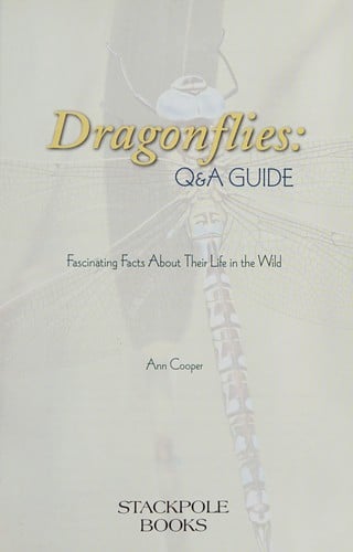 Dragonflies Q&A guide