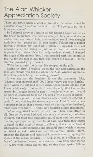 The bizarre leisure book