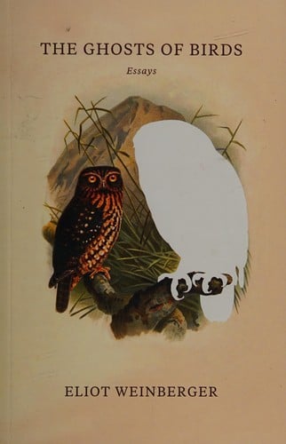 The ghosts of birds