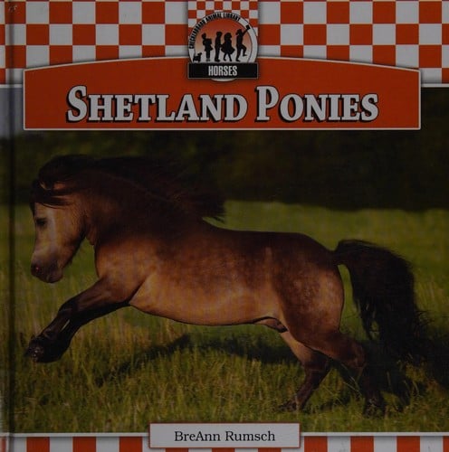 Shetland ponies