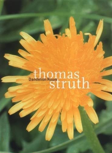 Thomas Struth - the Dandelion Room