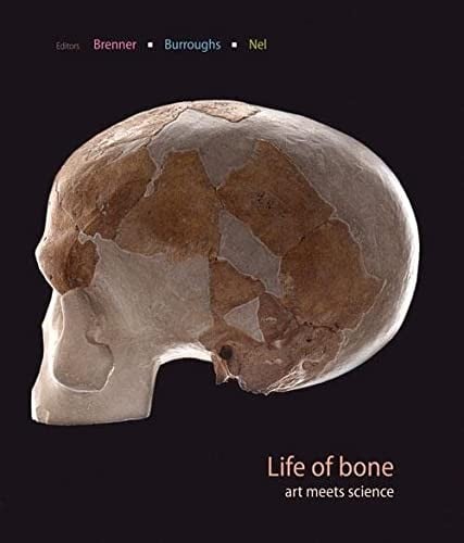 Life of bone